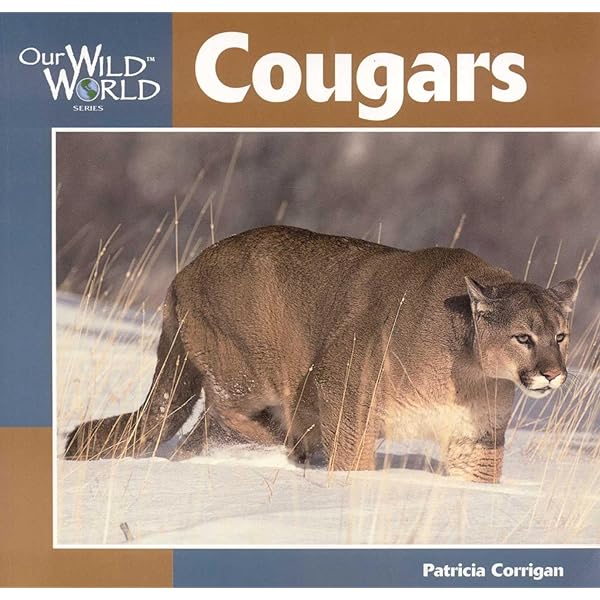 その他 Wildlife: Raccoon Mountain Lion Fishing Animals [DVD] その他 Wildlife: Raccoon Mountain Lion Fishing Animals [DVD